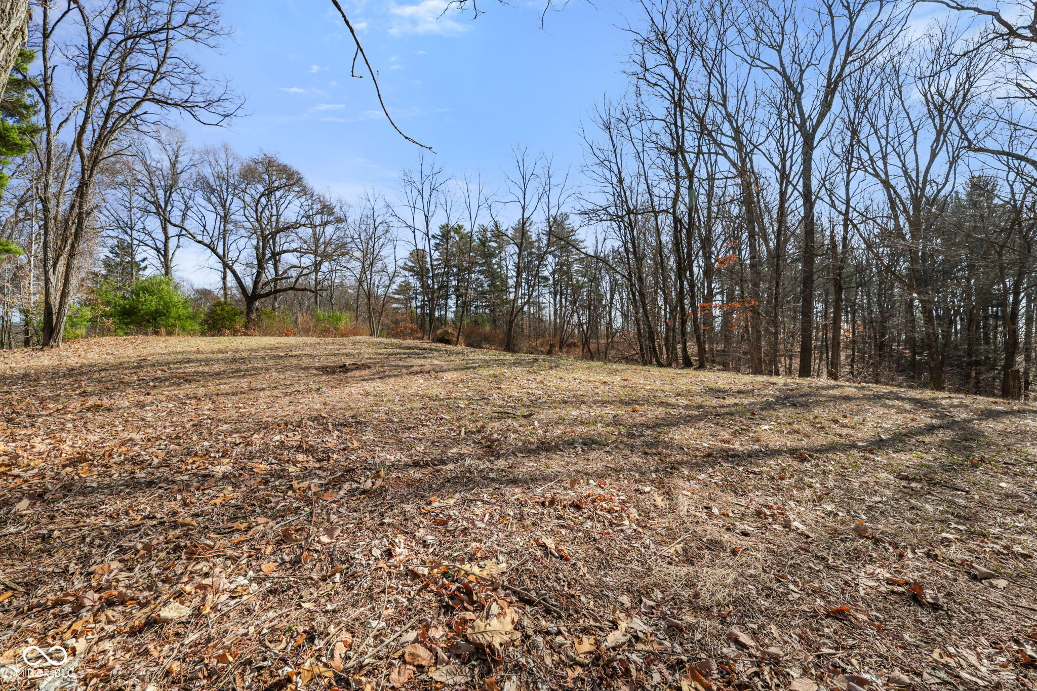 1867 Dynasty Ridge Road Martinsville, IN 46151 - Photo 11 of 14 Gallery Image 11