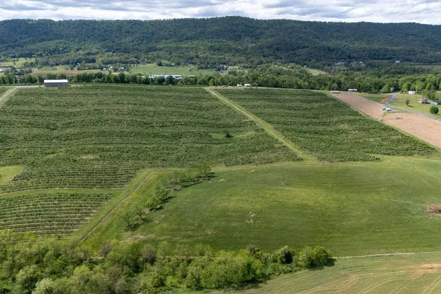 a view of a city with an ocean