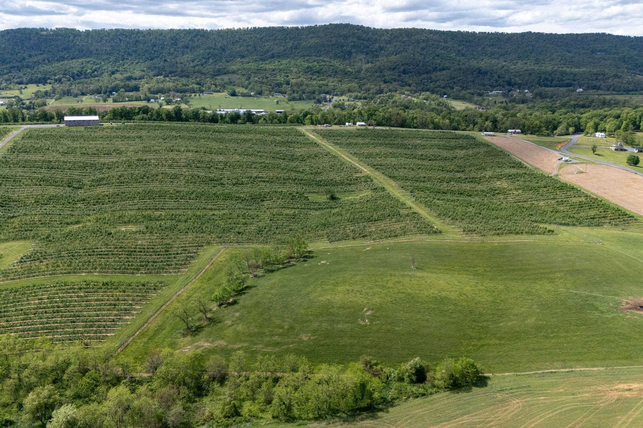 Tbd Vetters Road Timberville, VA 22853 - Photo 11 of 75 a view of a field with an ocean view