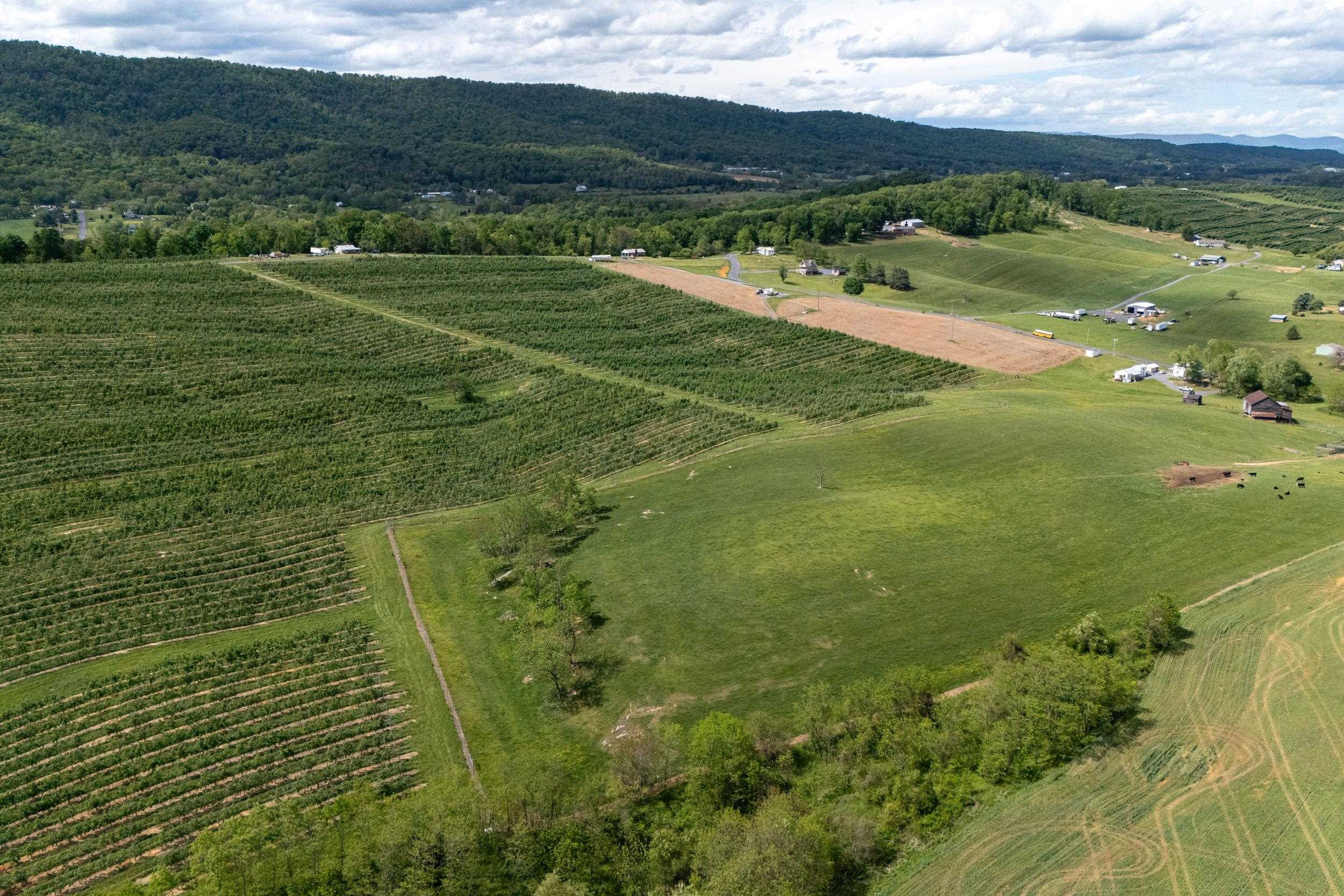 Tbd Vetters Road Timberville, VA 22853 - Photo 12 of 75 a view of a field with an ocean