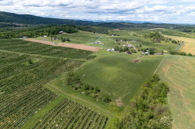 a view of a field with an ocean view