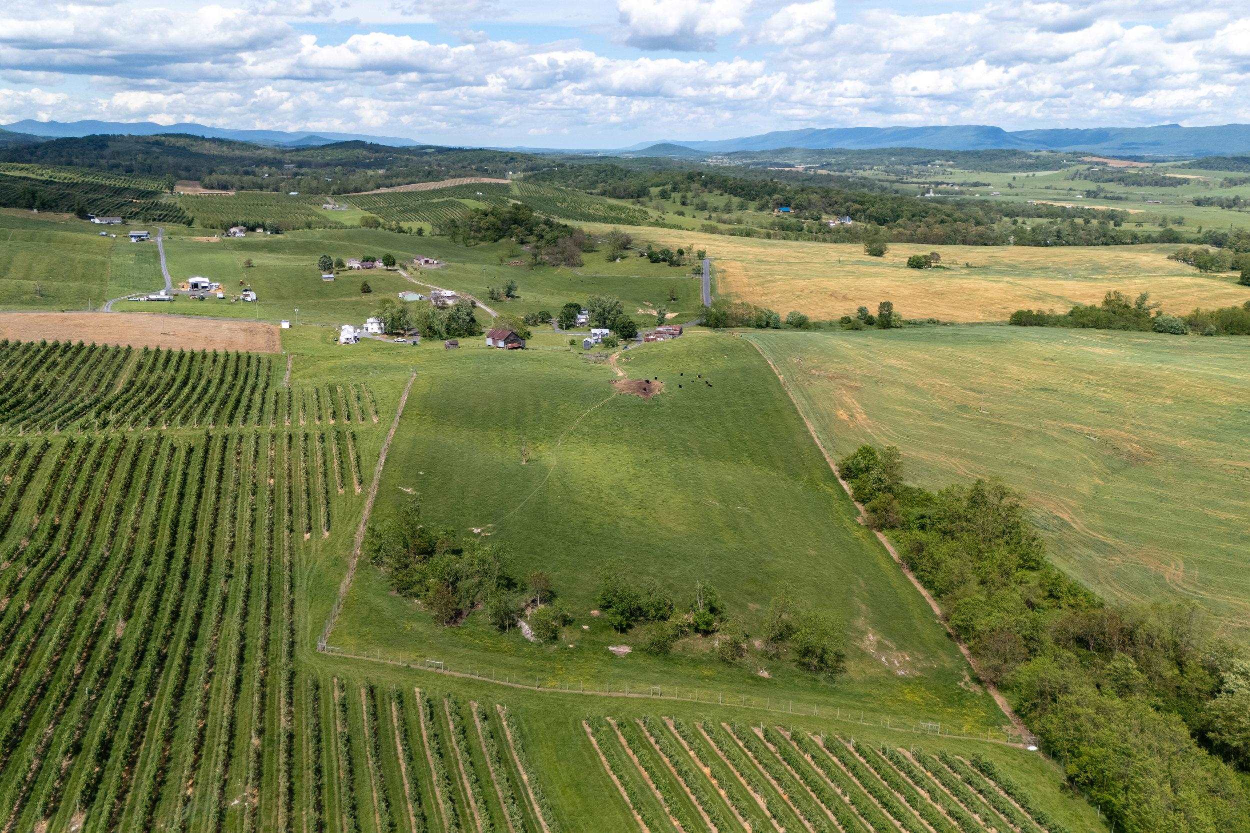 Tbd Vetters Road Timberville, VA 22853 - Photo 14 of 75