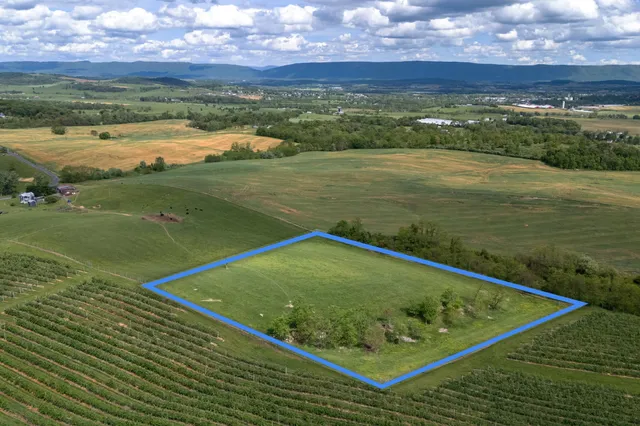 a view of a field with an ocean