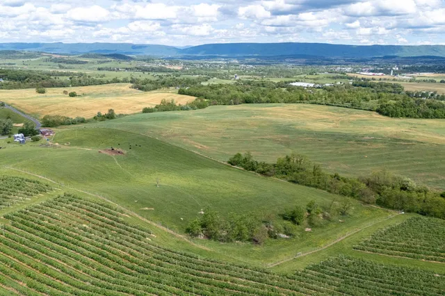 a view of a big yard with lots of green space and mountain view