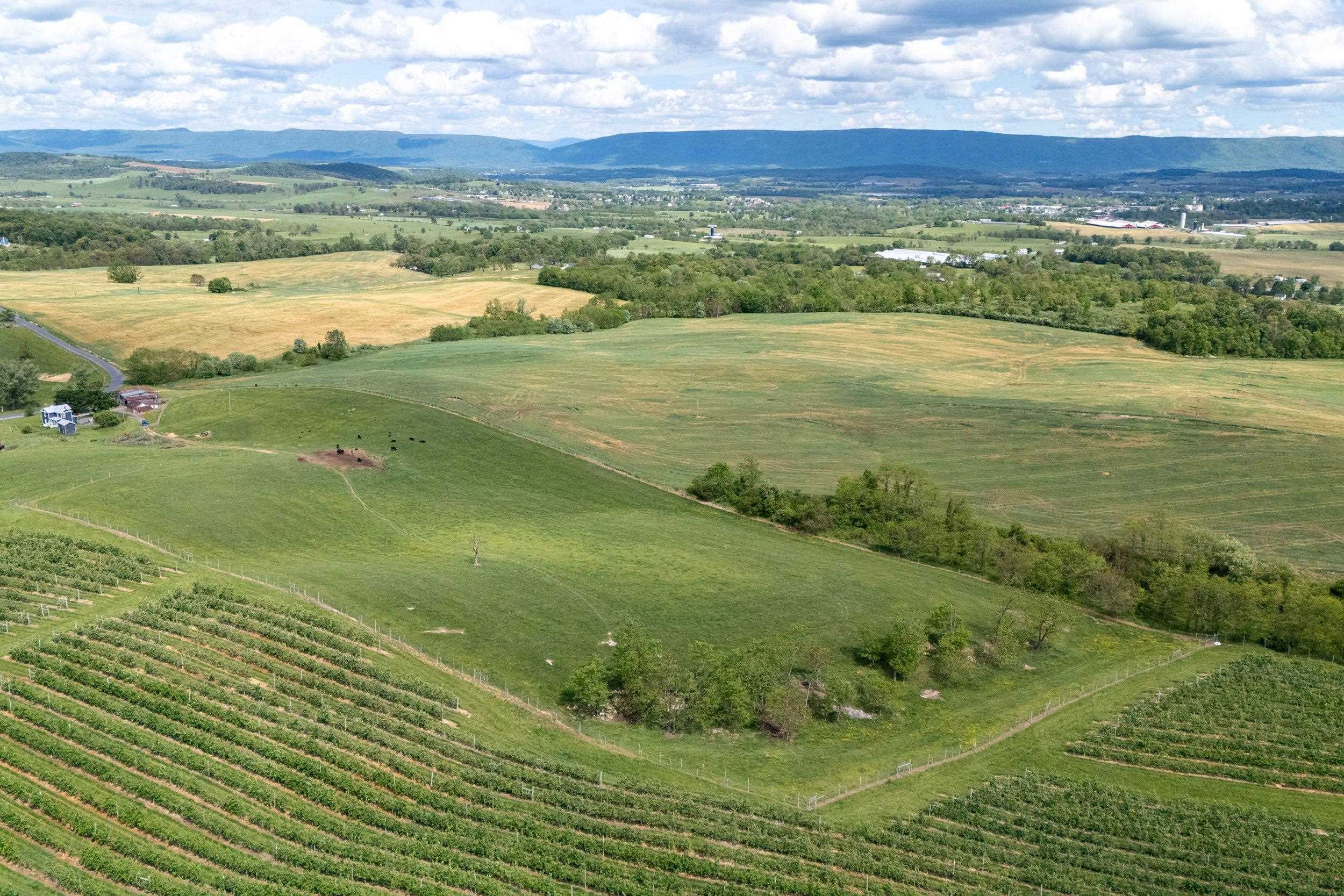 Tbd Vetters Road Timberville, VA 22853 - Photo 16 of 75