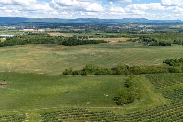 a view of a field with an ocean