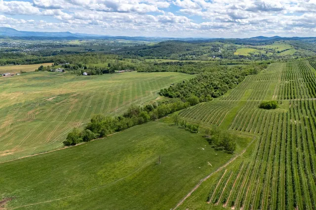 a view of a field with an ocean