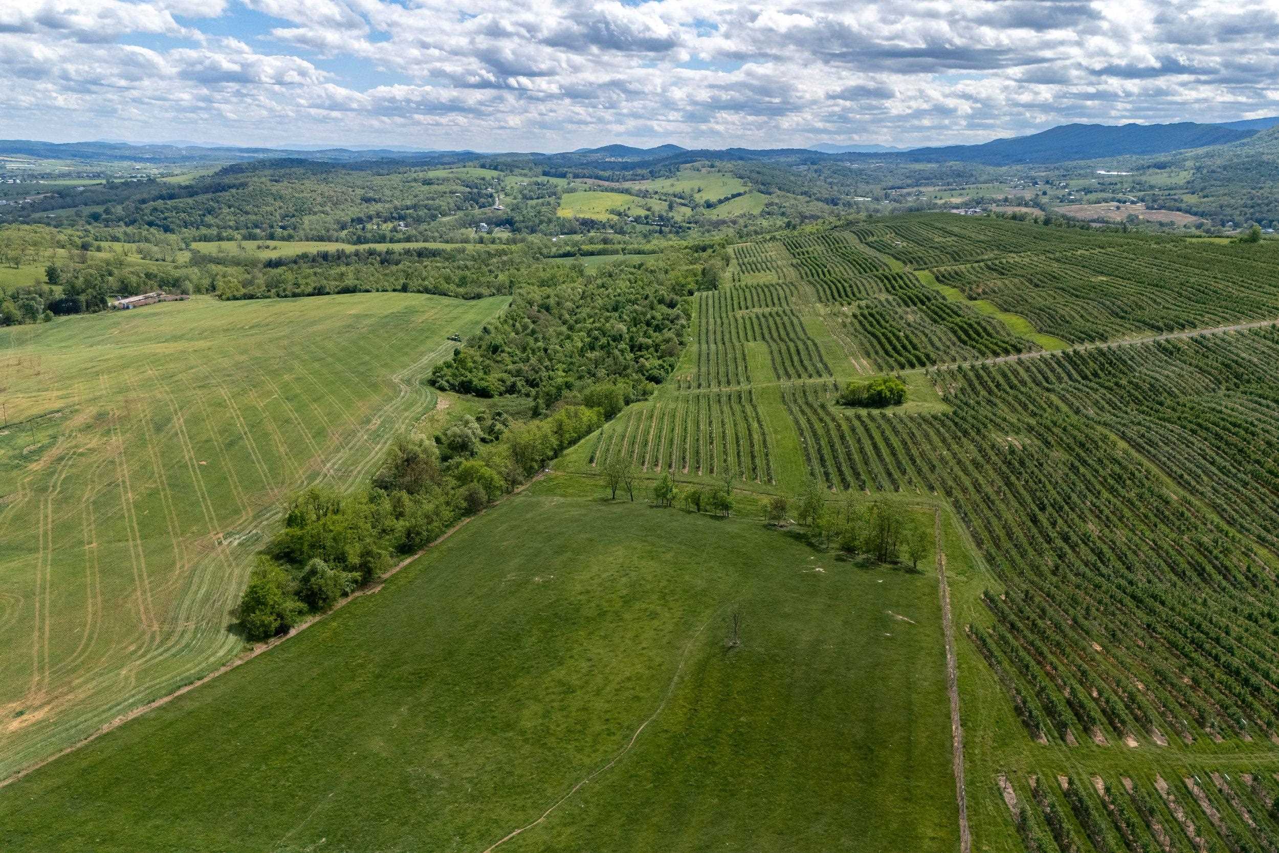 Tbd Vetters Road Timberville, VA 22853 - Photo 19 of 75 a view of a field with an ocean view