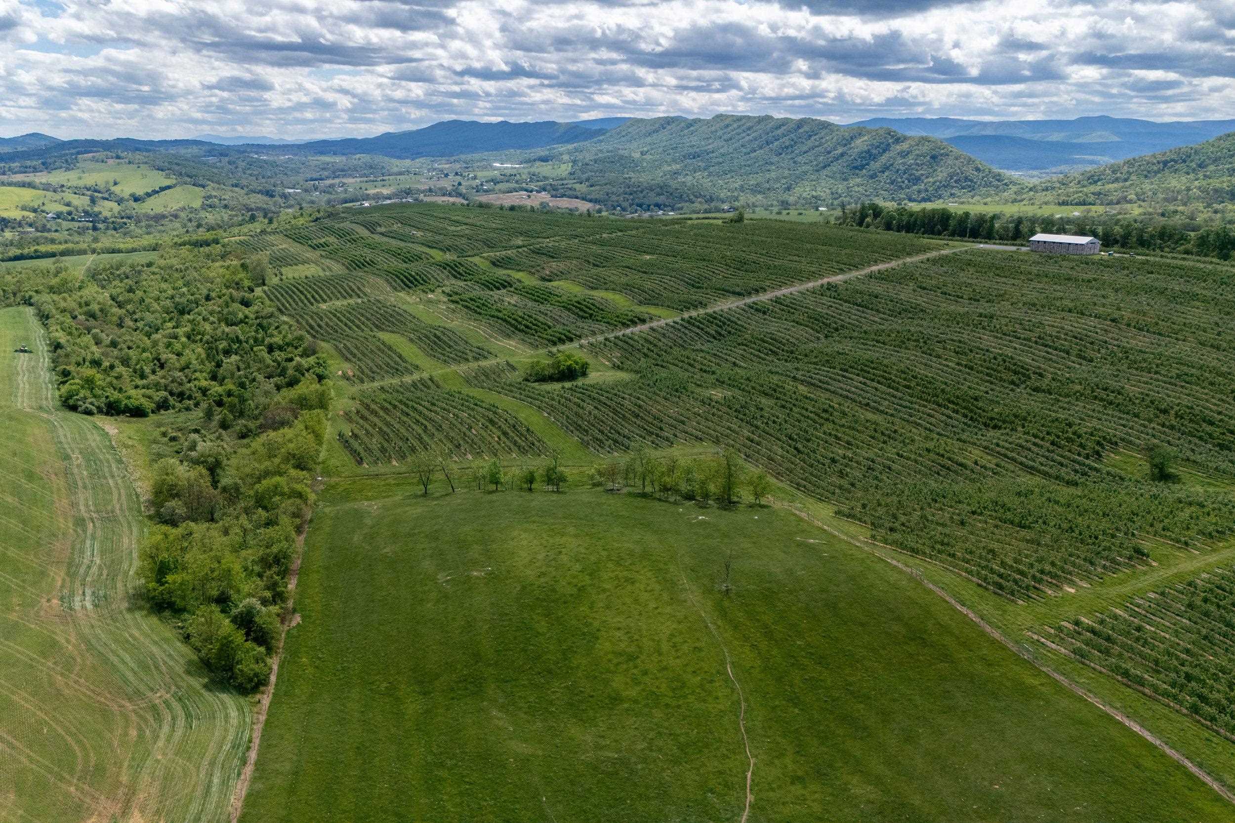 Tbd Vetters Road Timberville, VA 22853 - Photo 20 of 75 a view of a green field with clear sky