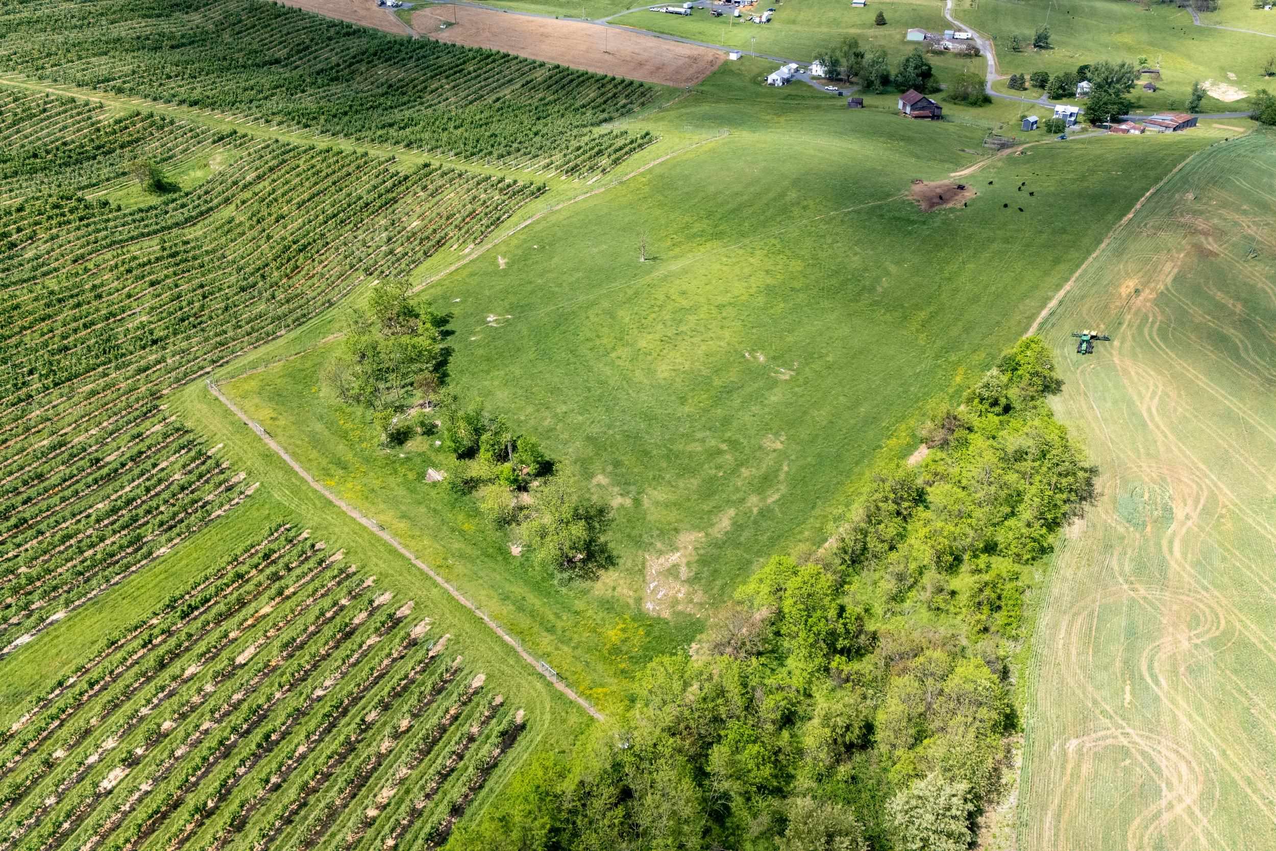 Tbd Vetters Road Timberville, VA 22853 - Photo 2 of 75 a view of a green field with clear sky