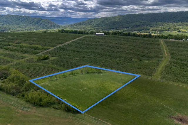 a view of an ocean and a yard