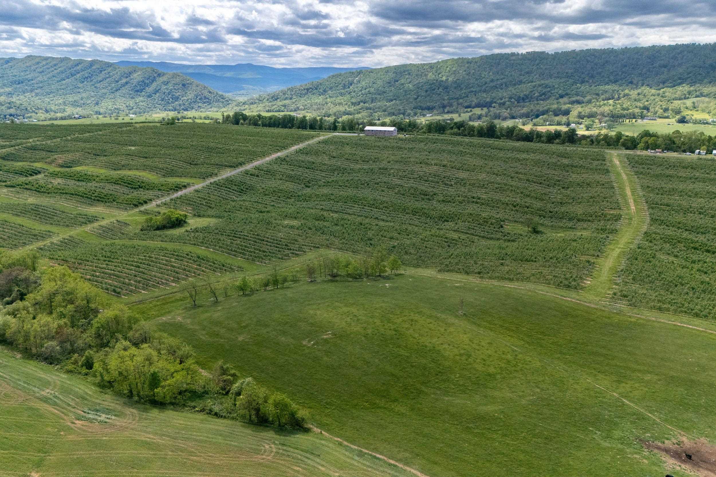 Tbd Vetters Road Timberville, VA 22853 - Photo 22 of 75 a view of a field with an ocean