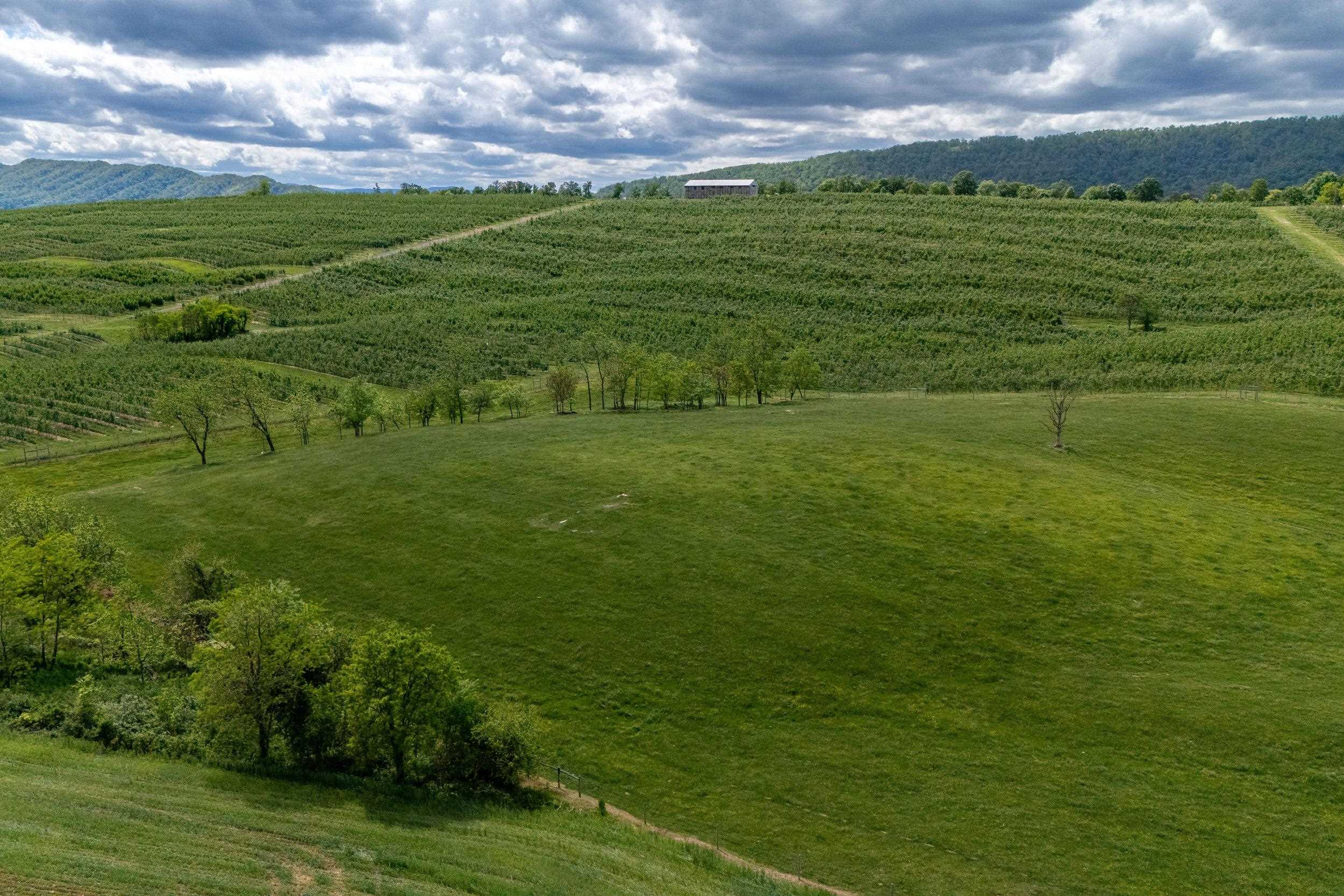Tbd Vetters Road Timberville, VA 22853 - Photo 23 of 75 a view of a big yard with lots of green space and mountain view