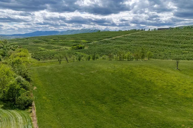 a view of a green field with an ocean