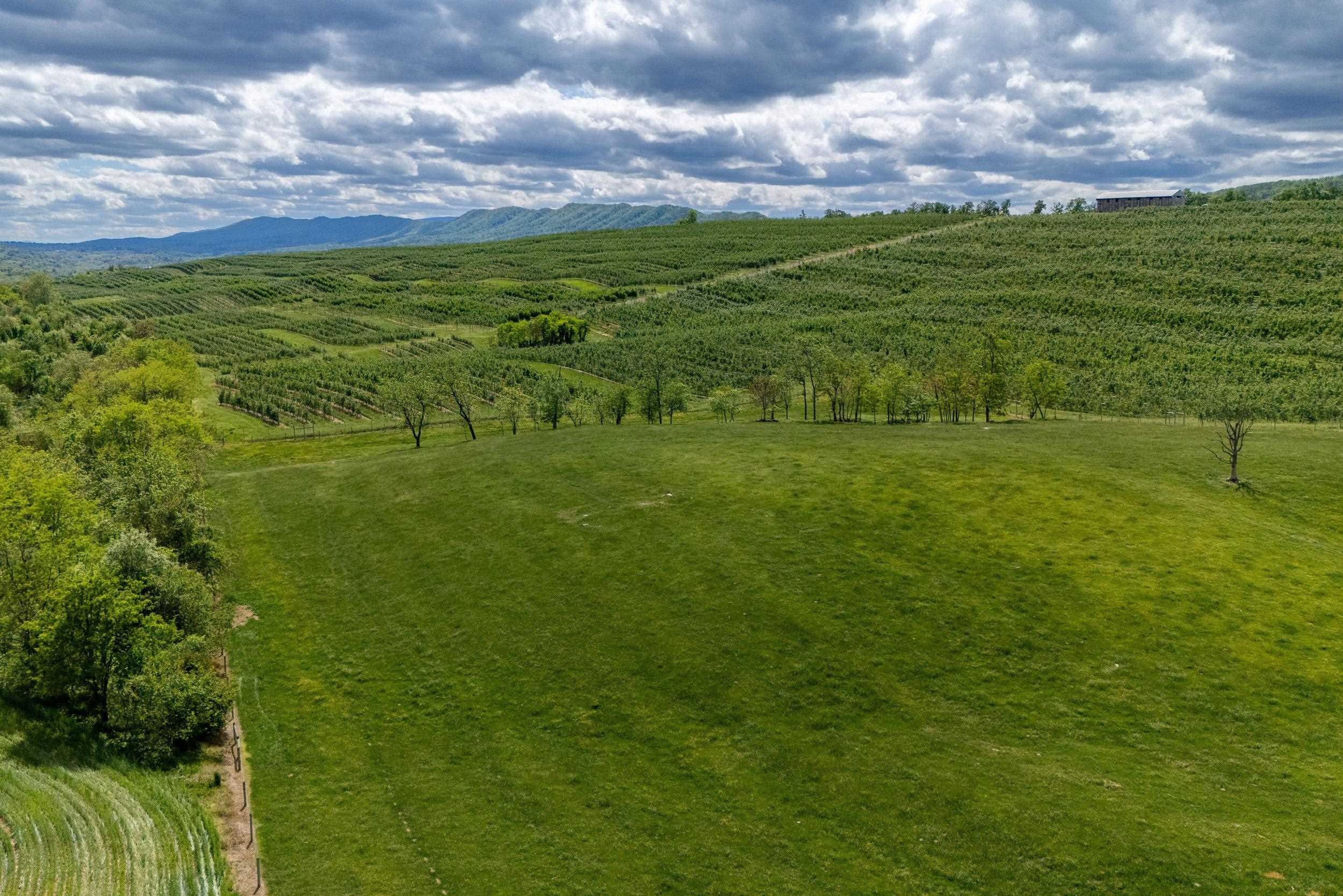 Tbd Vetters Road Timberville, VA 22853 - Photo 24 of 75 a view of a field with an ocean