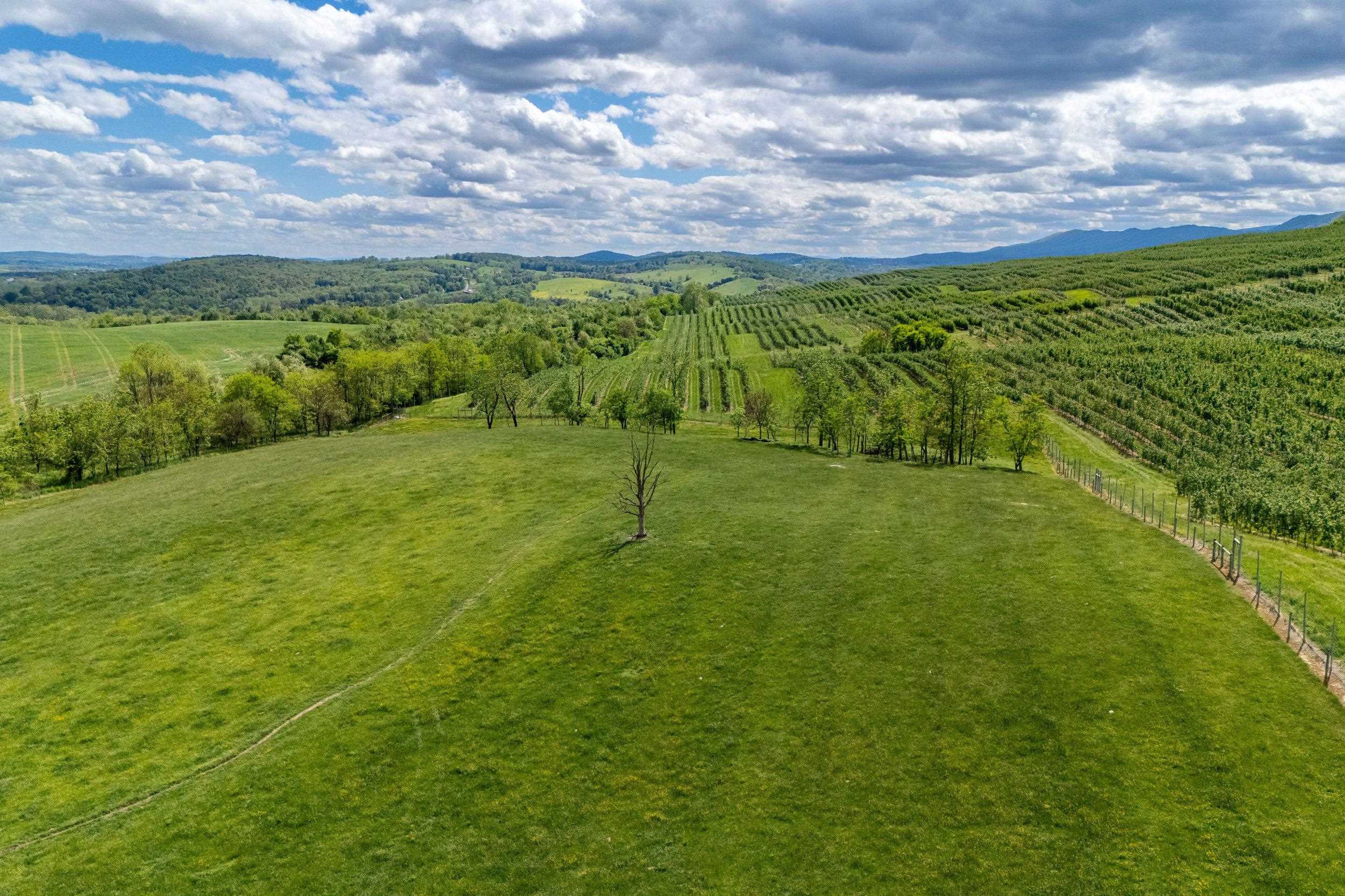 Tbd Vetters Road Timberville, VA 22853 - Photo 26 of 75 a view of an outdoor space and a yard