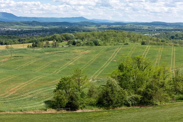 a view of a city with an ocean