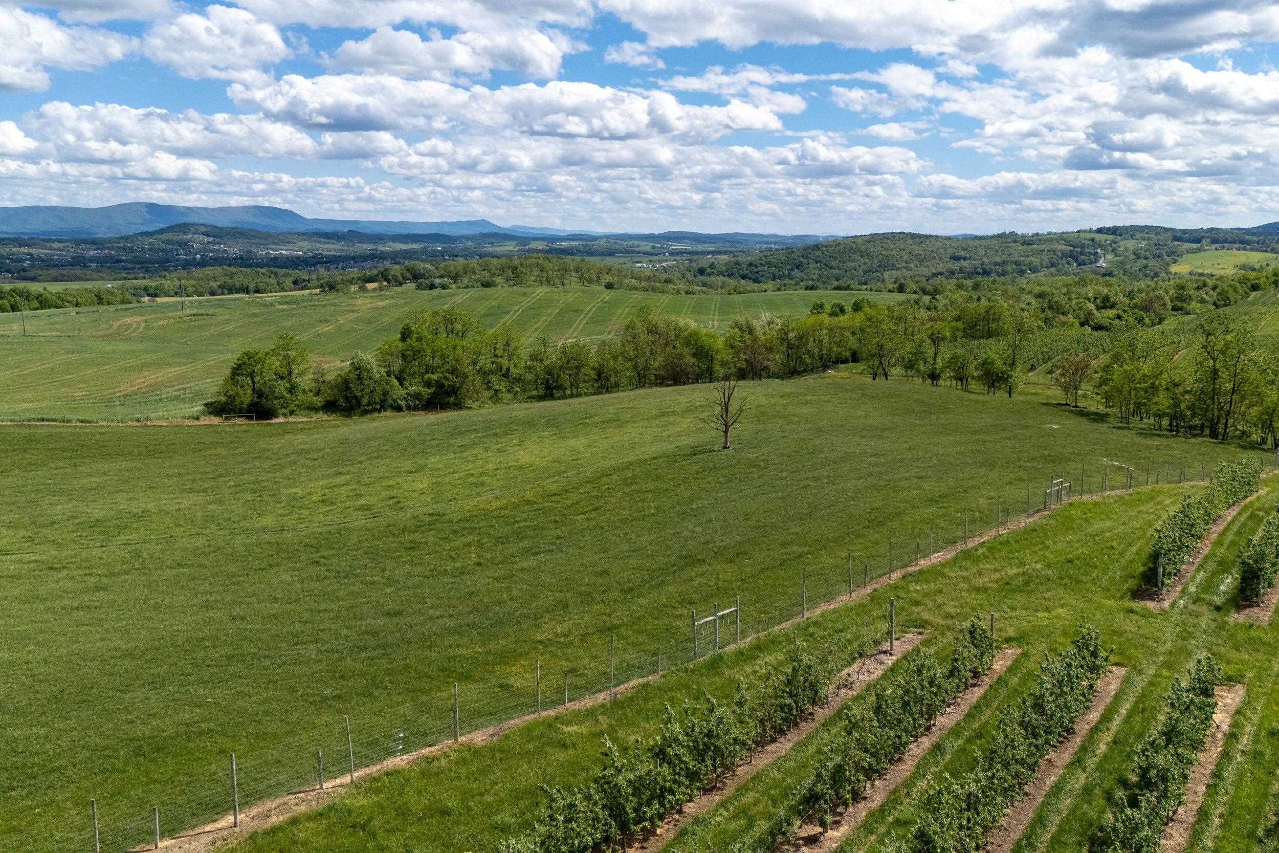 Tbd Vetters Road Timberville, VA 22853 - Photo 28 of 75 a view of an ocean and a yard