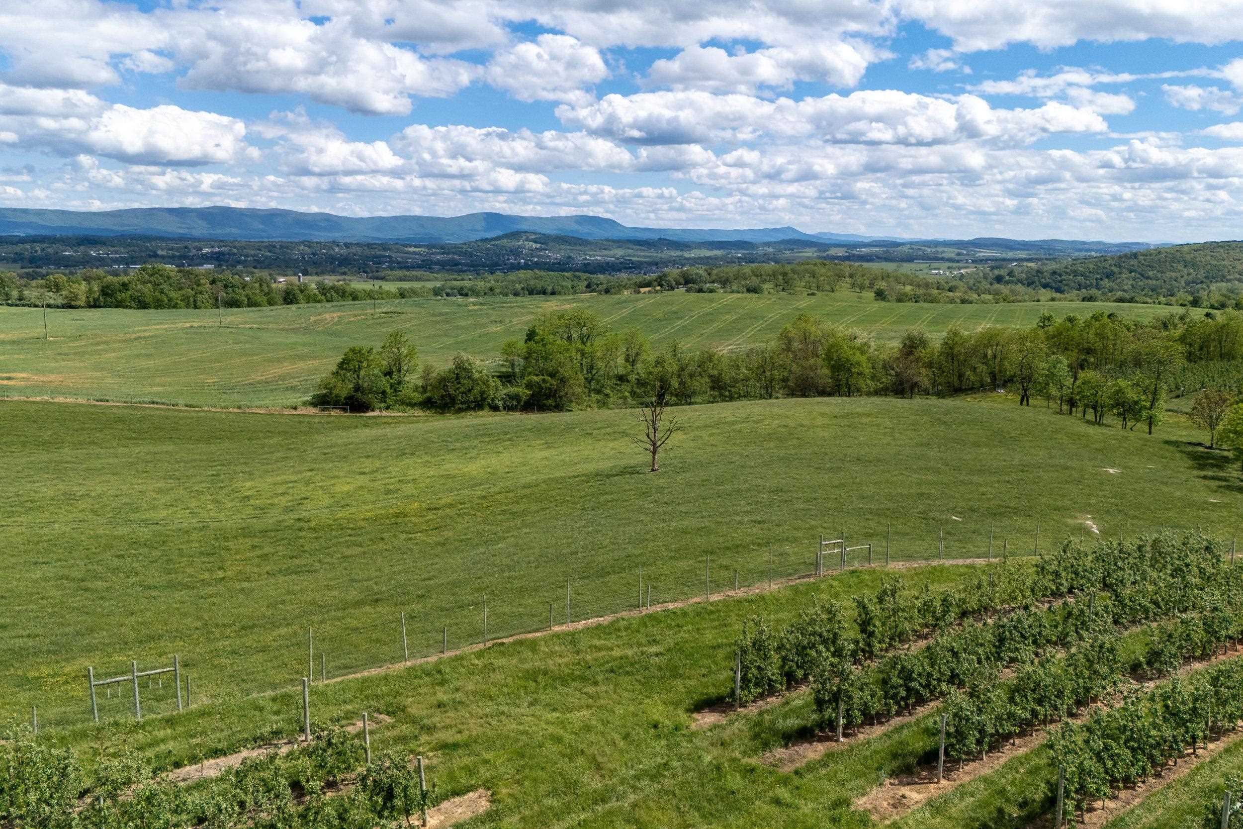 Tbd Vetters Road Timberville, VA 22853 - Photo 29 of 75 a view of a field with an ocean