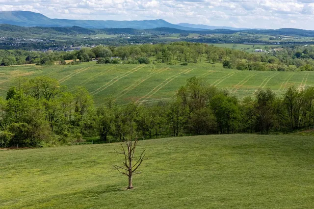 a view of an ocean from a yard