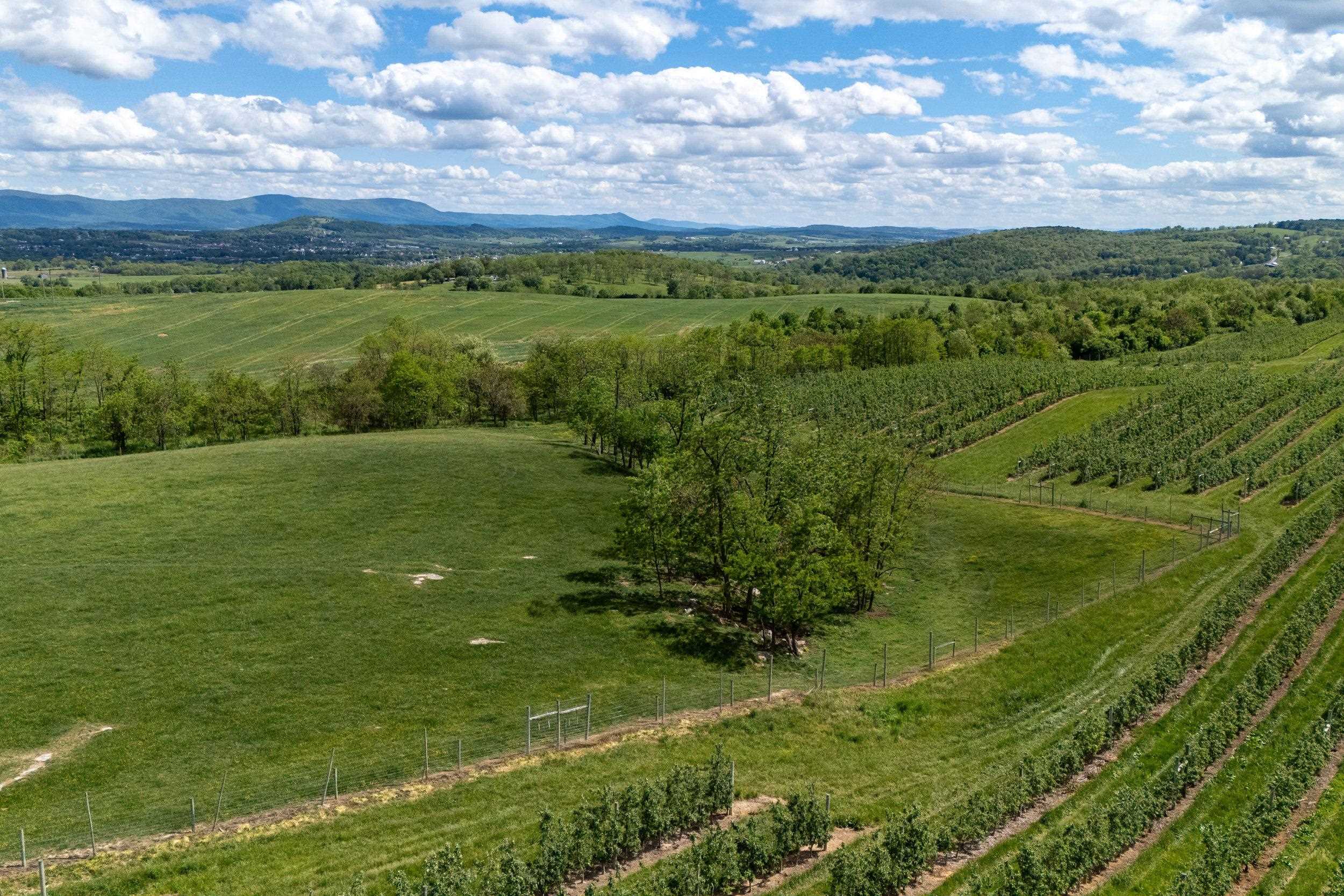 Tbd Vetters Road Timberville, VA 22853 - Photo 31 of 75 a view of a green field with an ocean