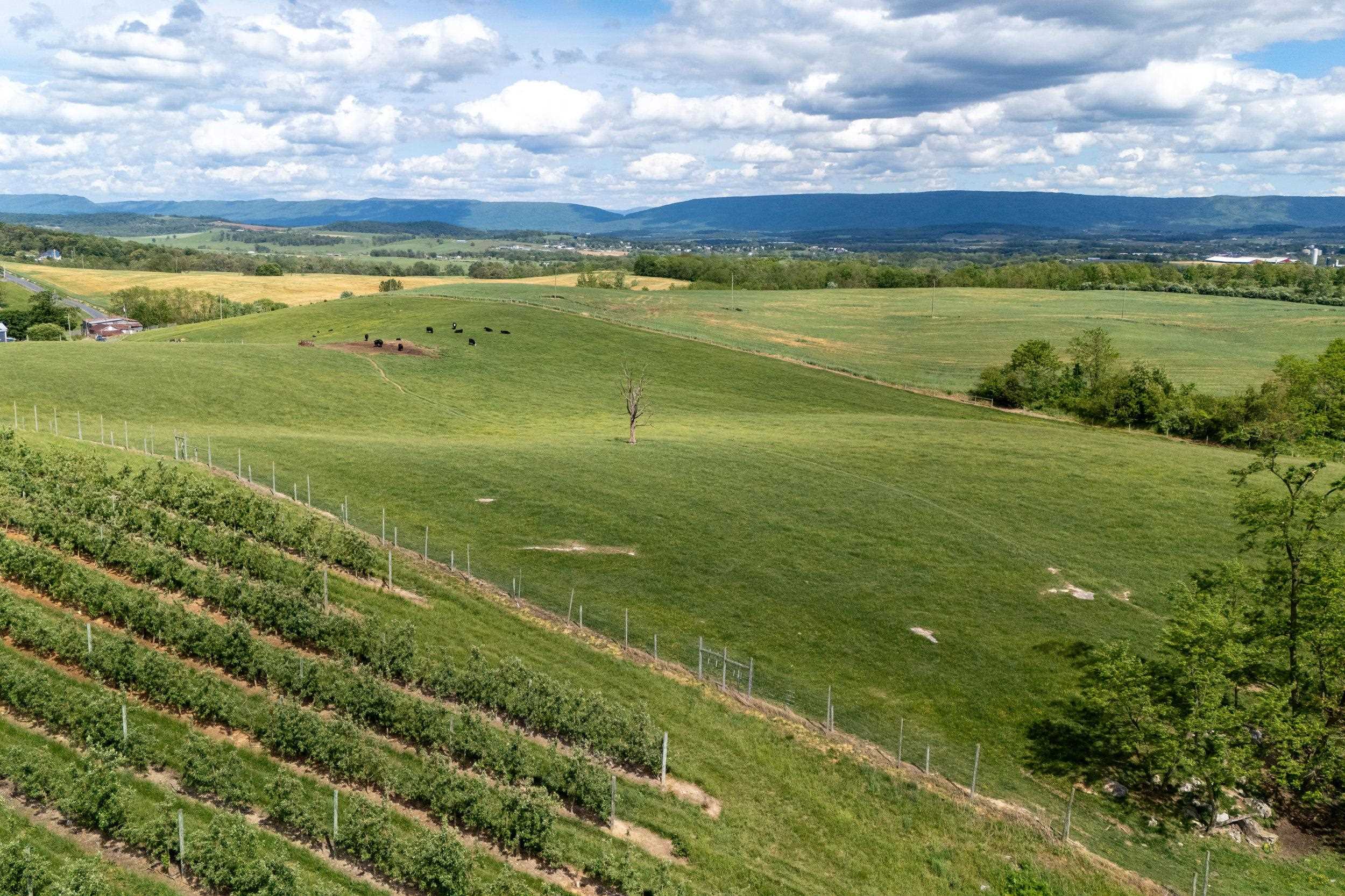 Tbd Vetters Road Timberville, VA 22853 - Photo 32 of 75 a view of an ocean and a mountain