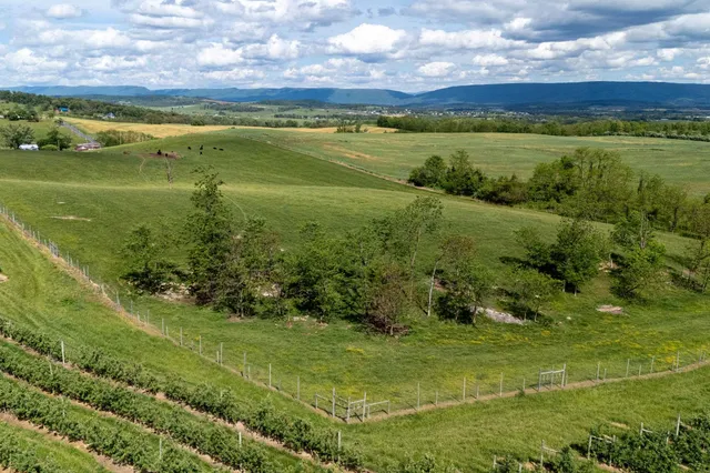 a view of an outdoor space and seating