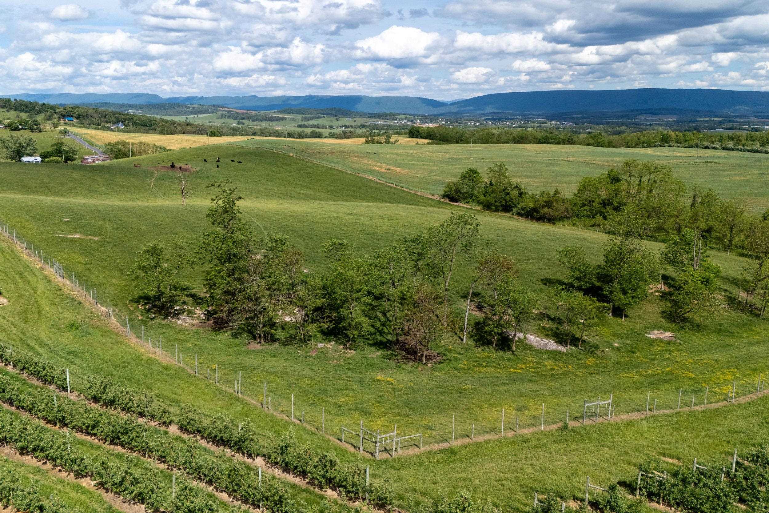 Tbd Vetters Road Timberville, VA 22853 - Photo 33 of 75 a view of a lake with a houses