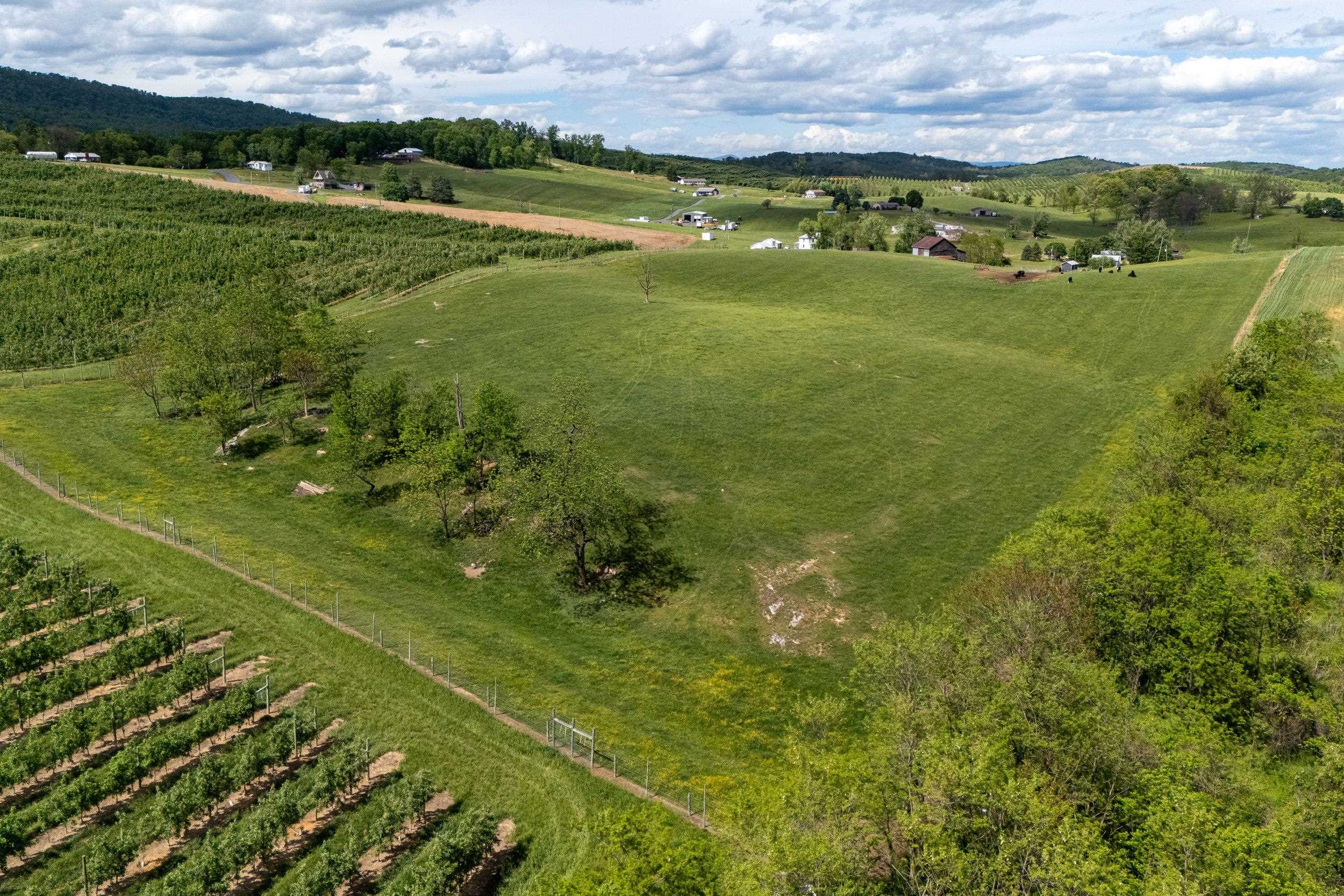 Tbd Vetters Road Timberville, VA 22853 - Photo 36 of 75 a view of a golf course with a lake