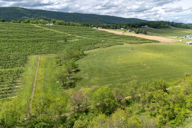 a view of a big yard with lots of green space
