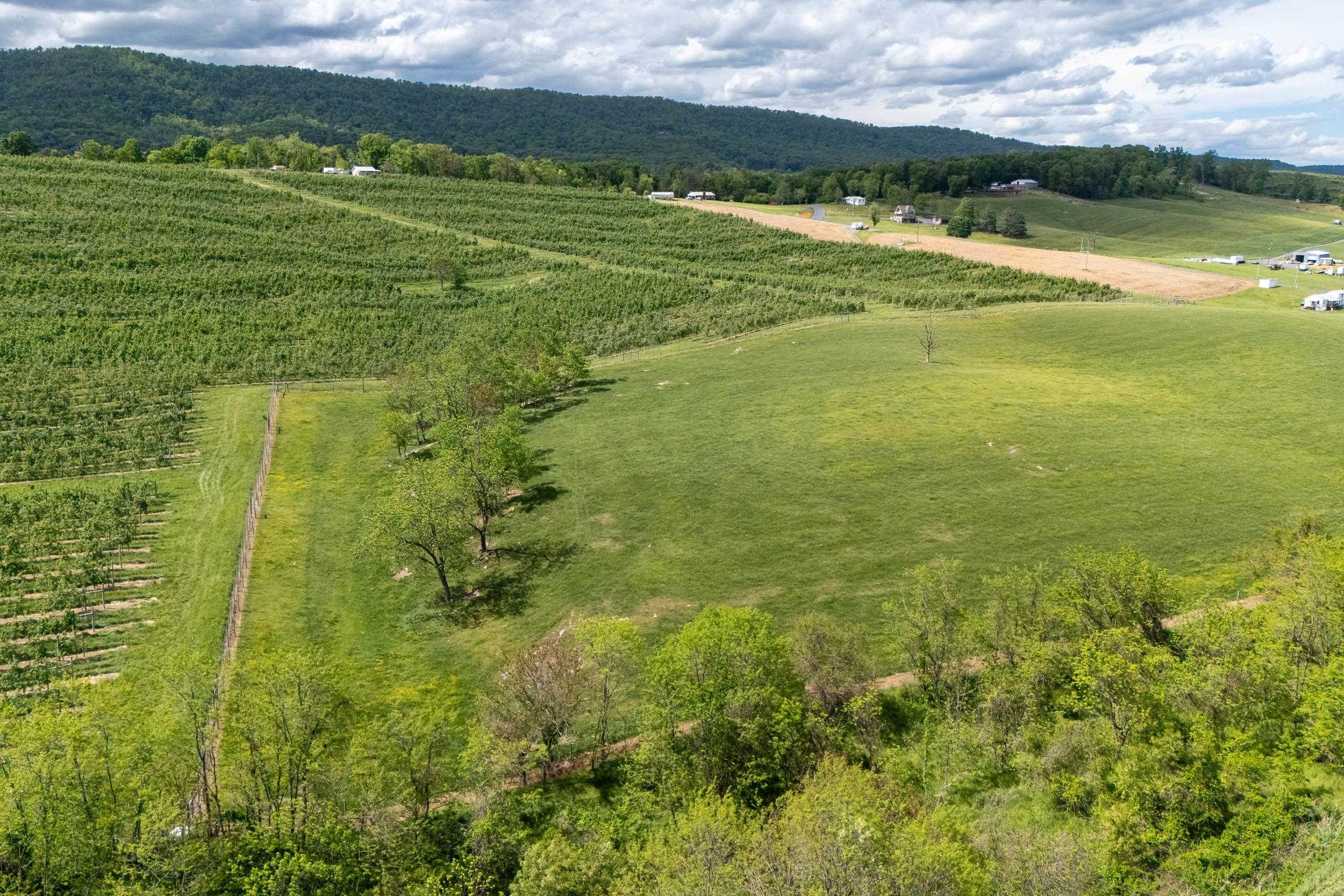 Tbd Vetters Road Timberville, VA 22853 - Photo 37 of 75 a view of an ocean from a yard