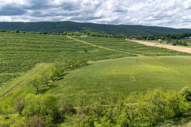 a view of an outdoor space and yard