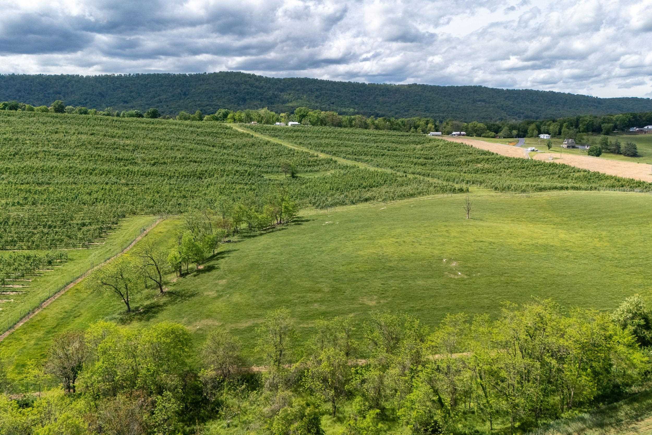 Tbd Vetters Road Timberville, VA 22853 - Photo 38 of 75 a view of an ocean from a balcony