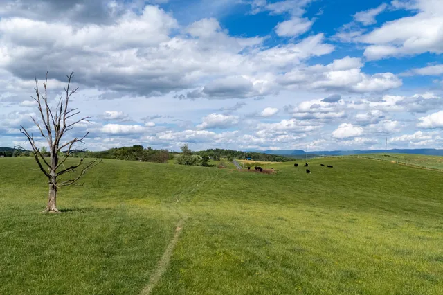 a view of a big yard with lots of green space