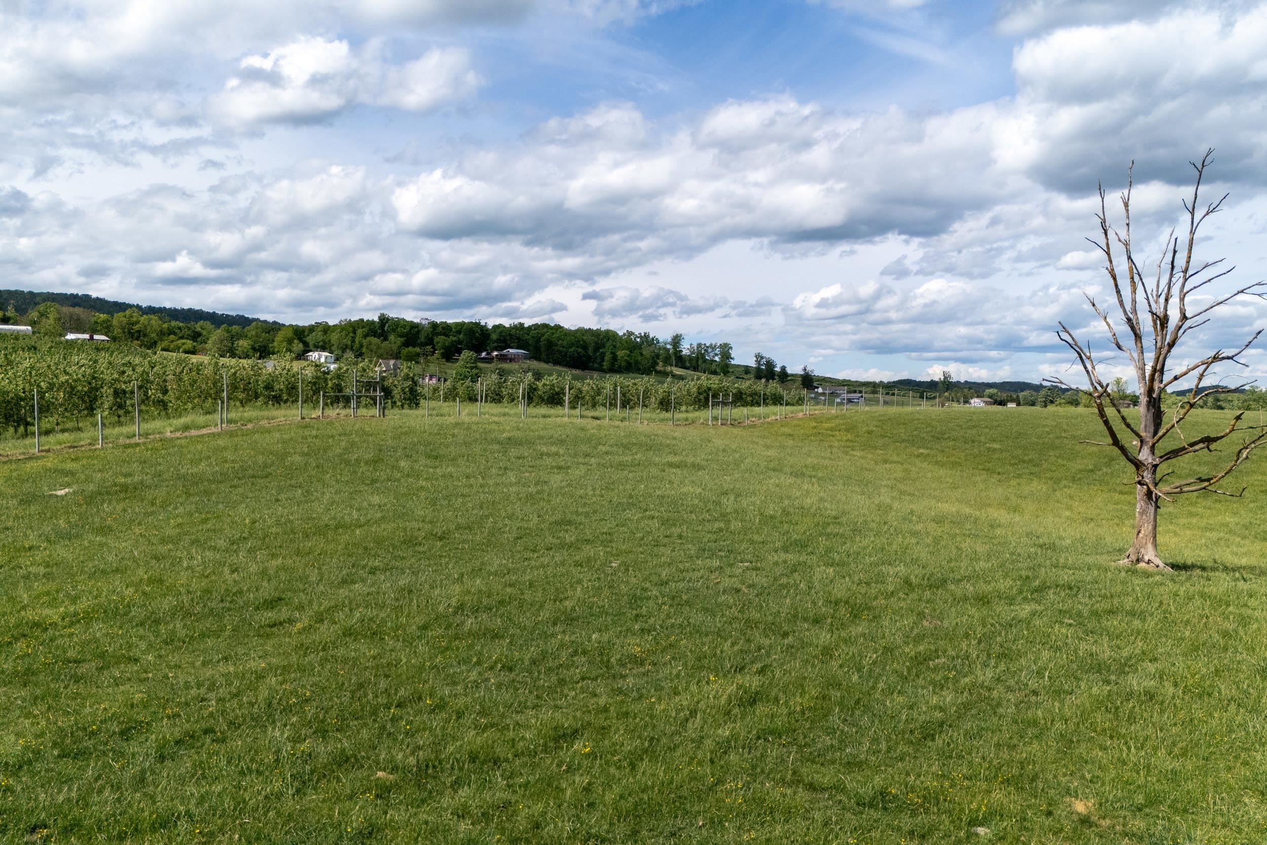 Tbd Vetters Road Timberville, VA 22853 - Photo 40 of 75