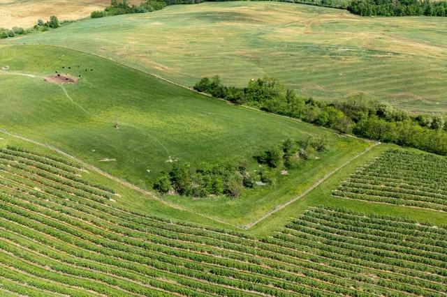 a view of a lake with a big yard