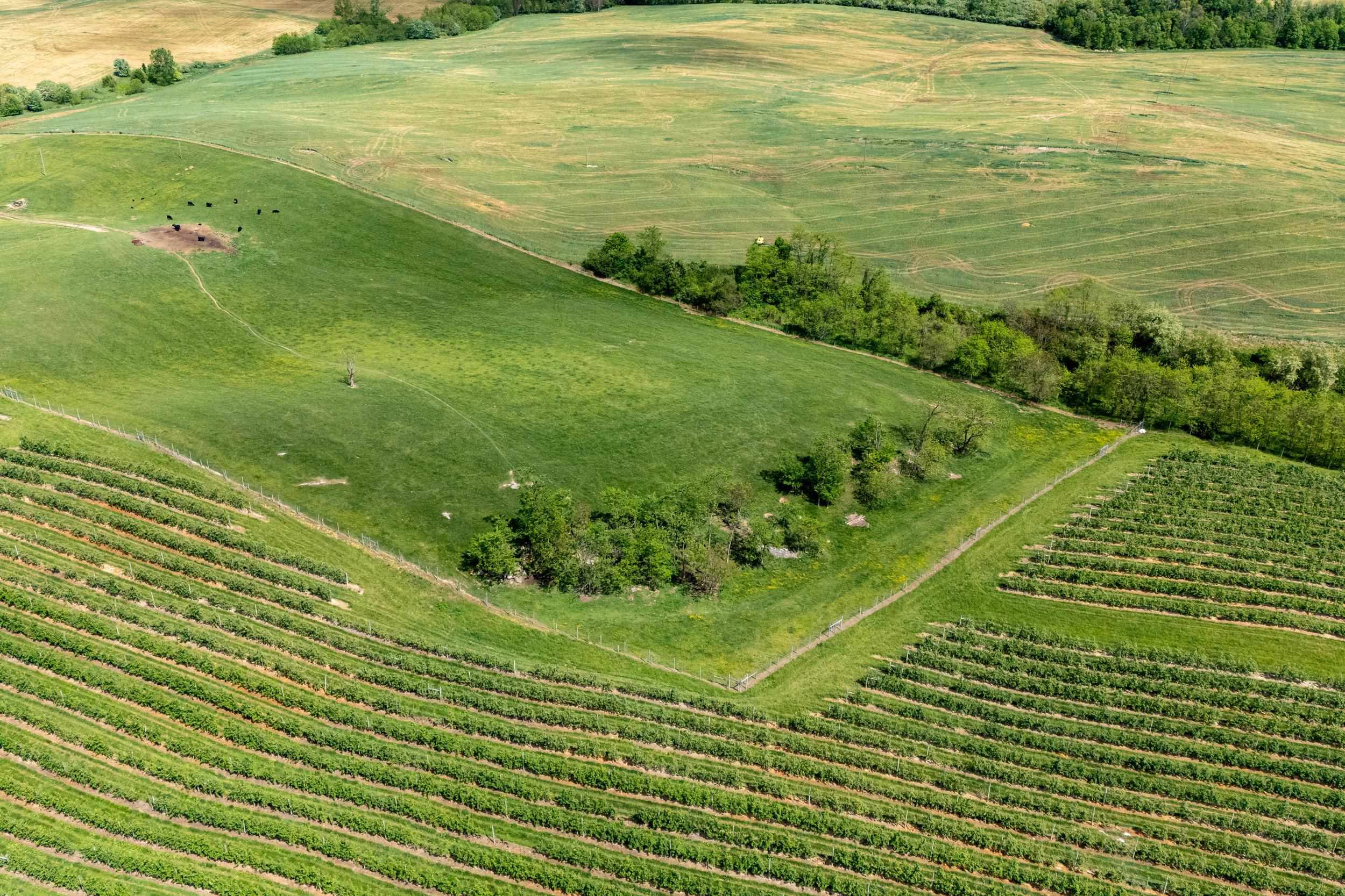 Tbd Vetters Road Timberville, VA 22853 - Photo 4 of 75