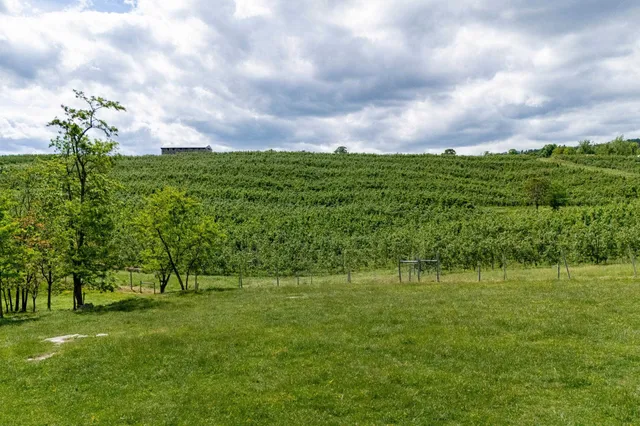 a view of a golf course with a big yard