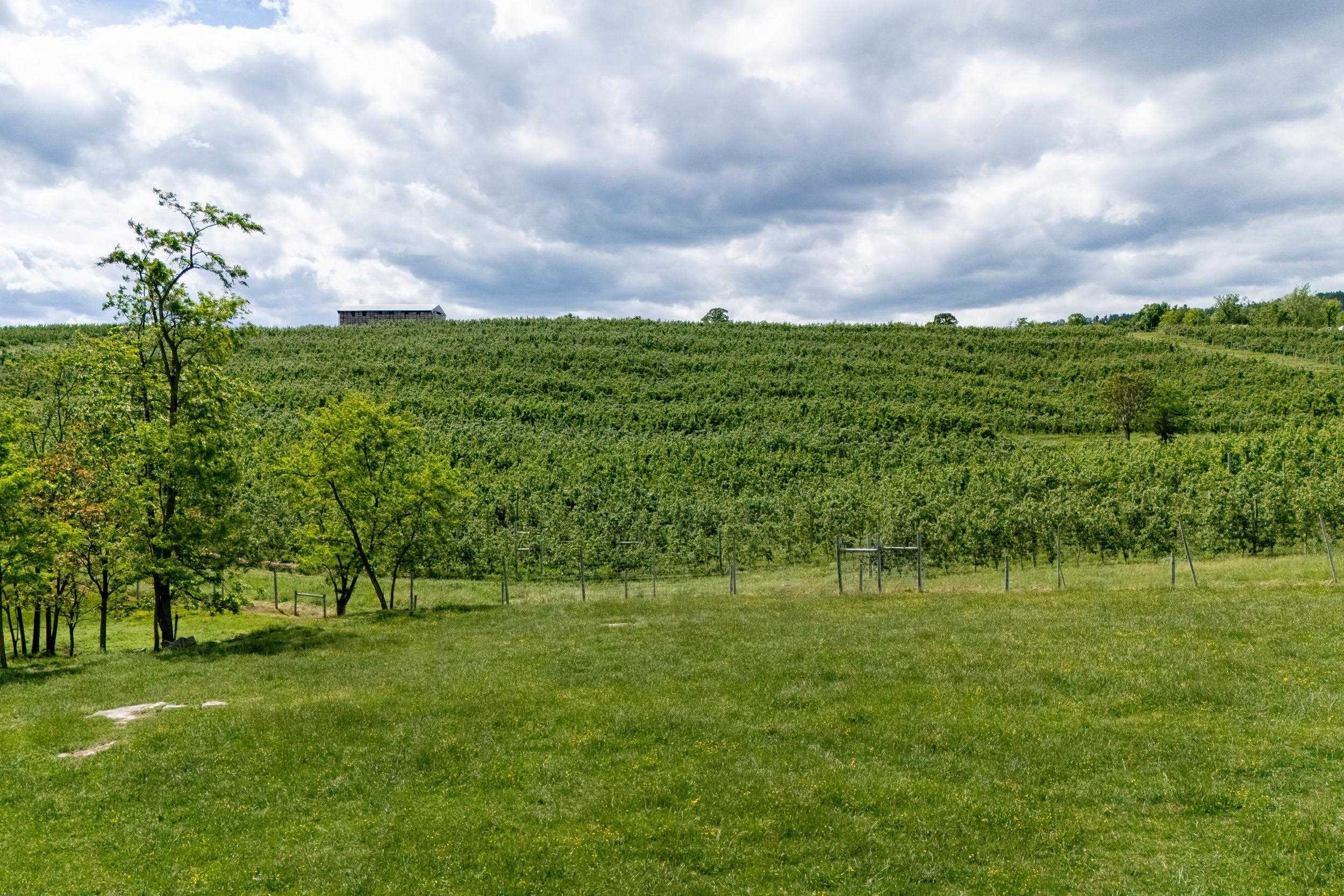 Tbd Vetters Road Timberville, VA 22853 - Photo 41 of 75 a view of a garden with a bench