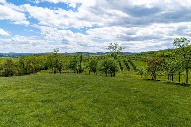 a view of a golf course with a lake