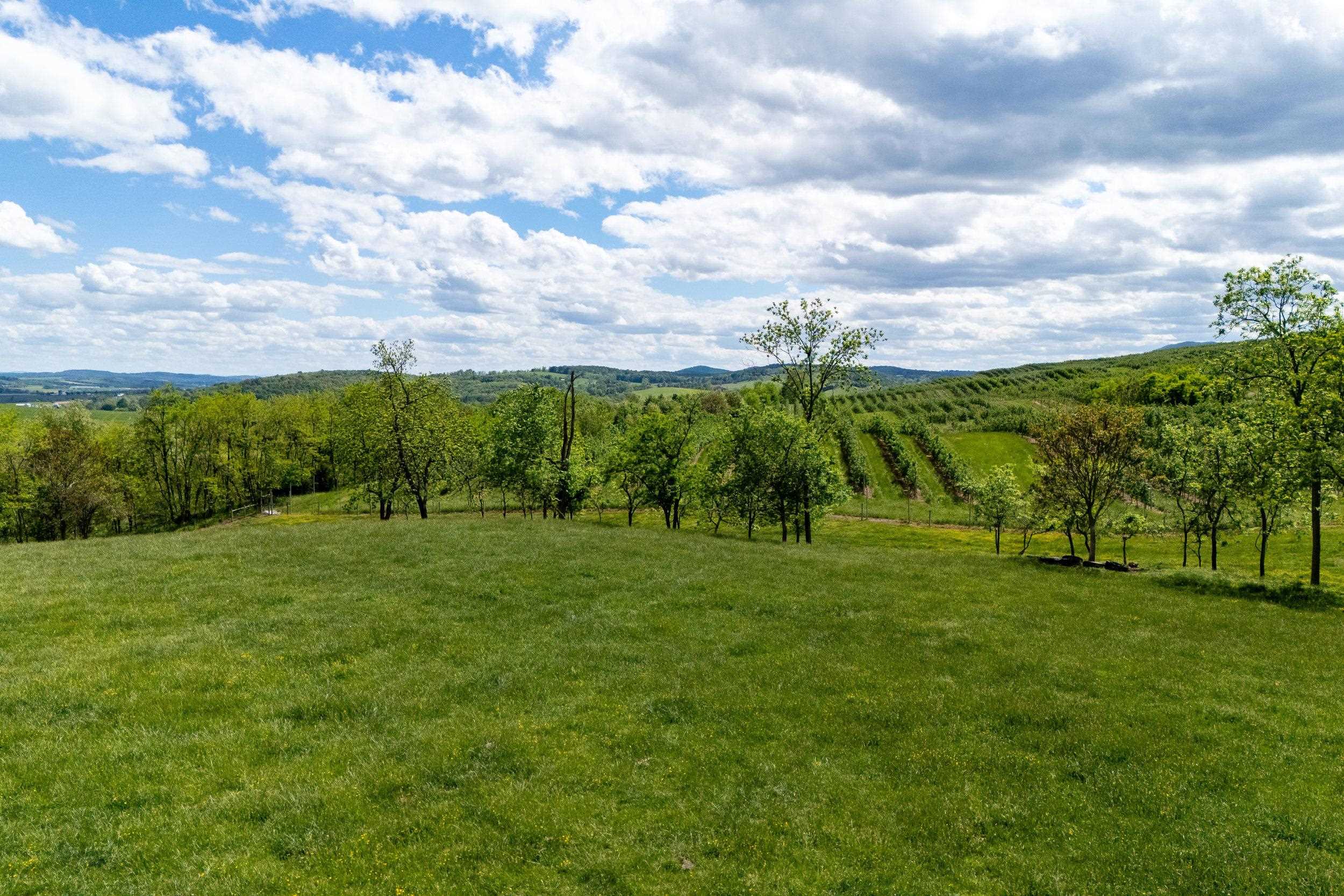 Tbd Vetters Road Timberville, VA 22853 - Photo 42 of 75