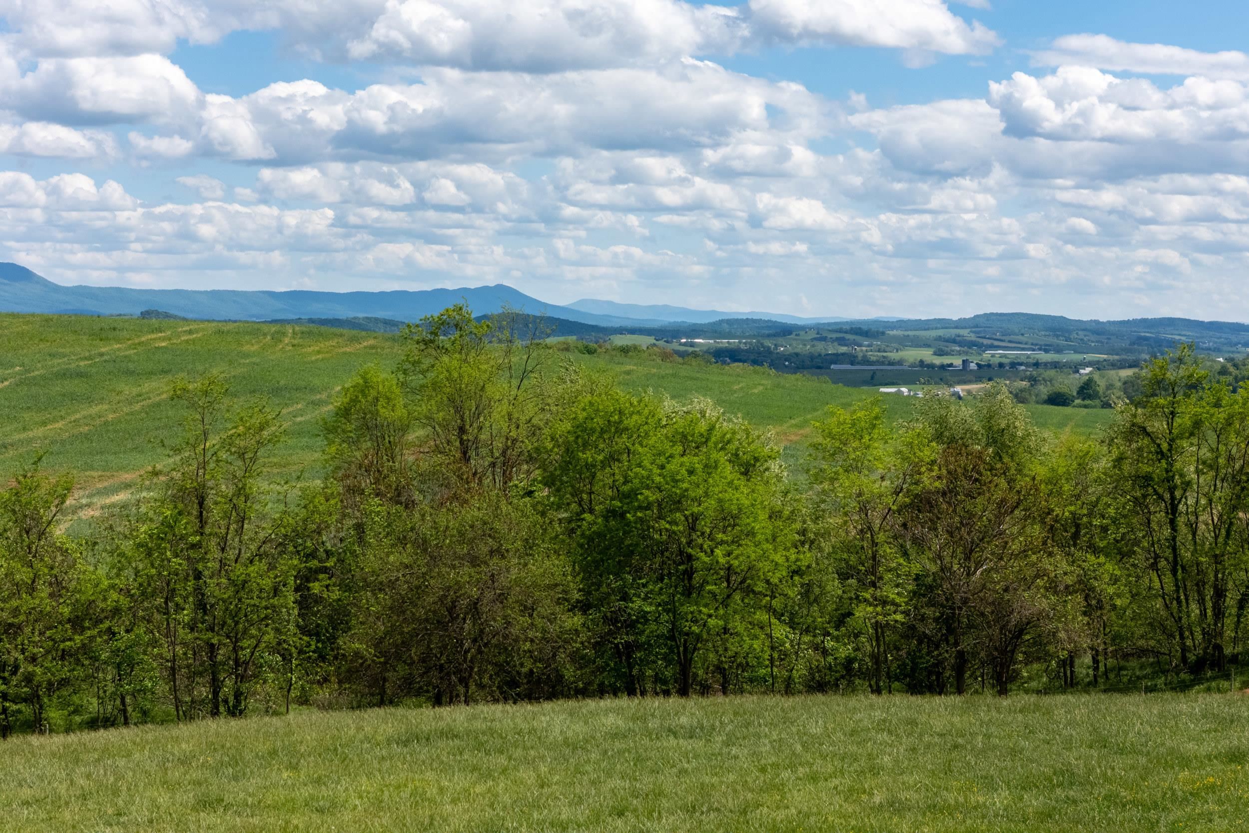 Tbd Vetters Road Timberville, VA 22853 - Photo 43 of 75 a view of an outdoor space and seating