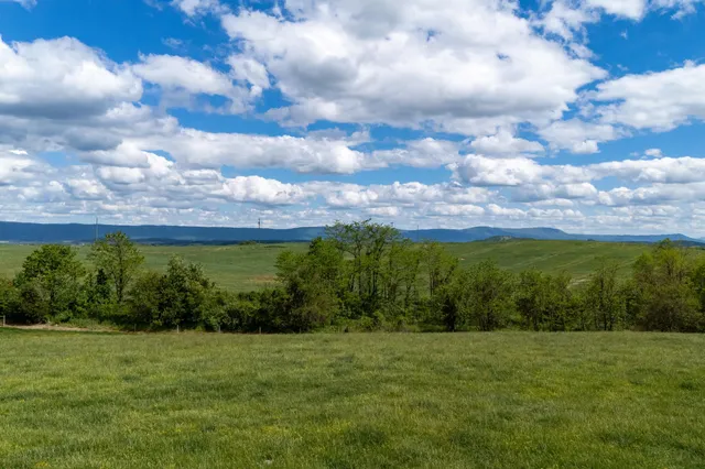 a view of a garden with a lake