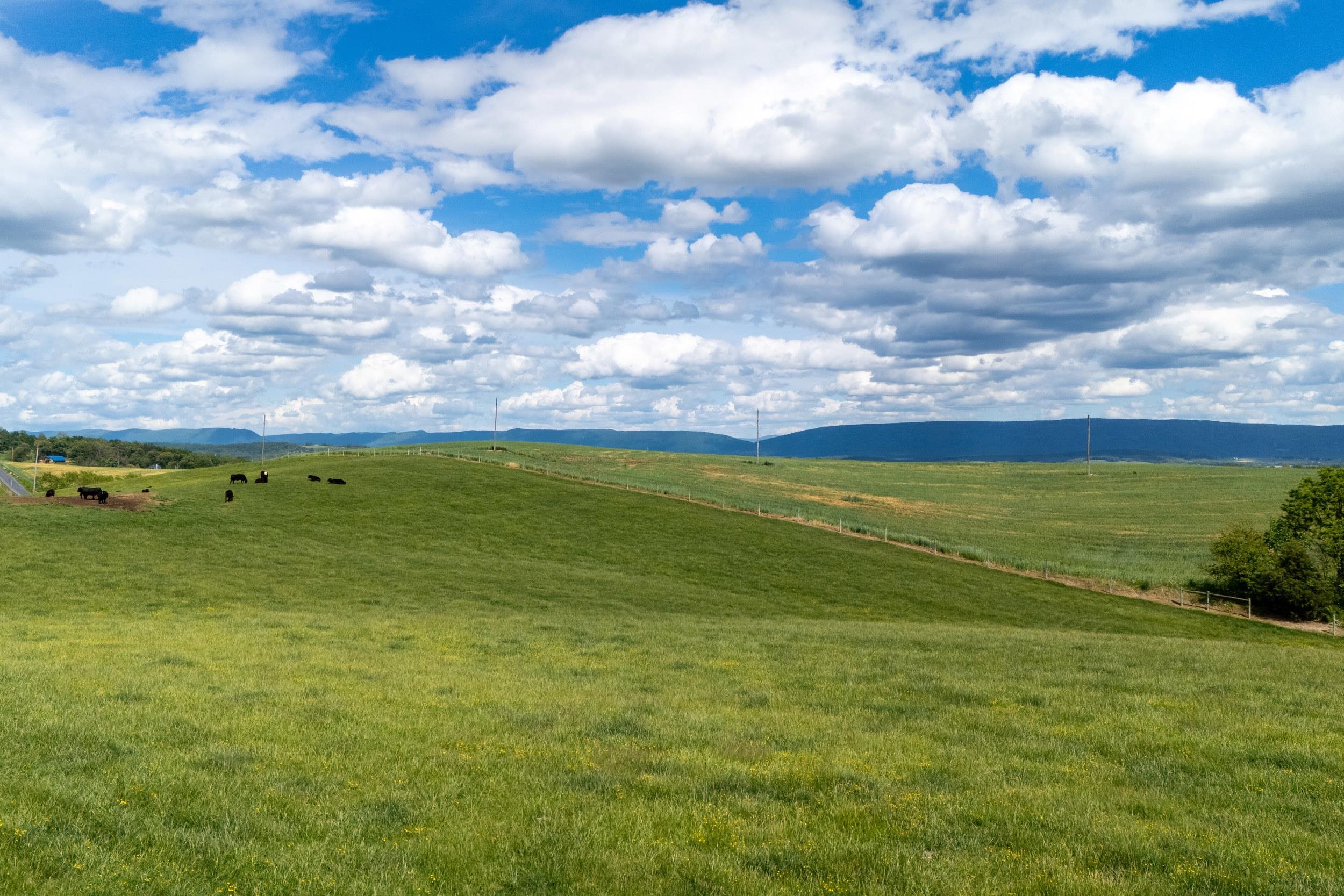 Tbd Vetters Road Timberville, VA 22853 - Photo 45 of 75 a view of an ocean