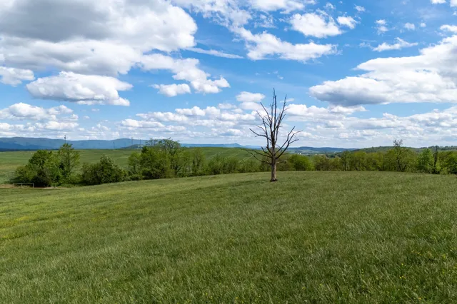 a view of a big yard with lots of green space