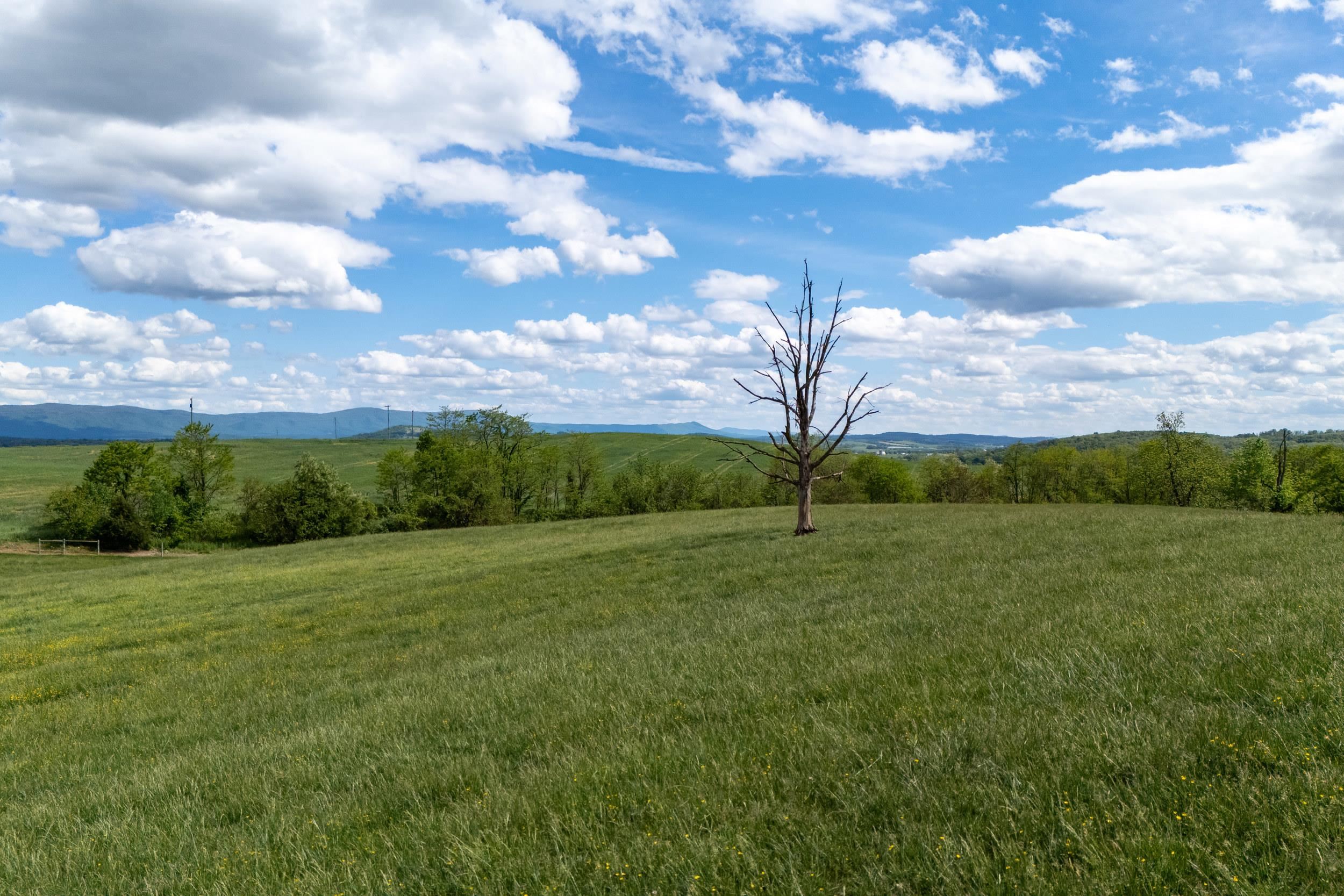 Tbd Vetters Road Timberville, VA 22853 - Photo 46 of 75 a view of an outdoor space and yard