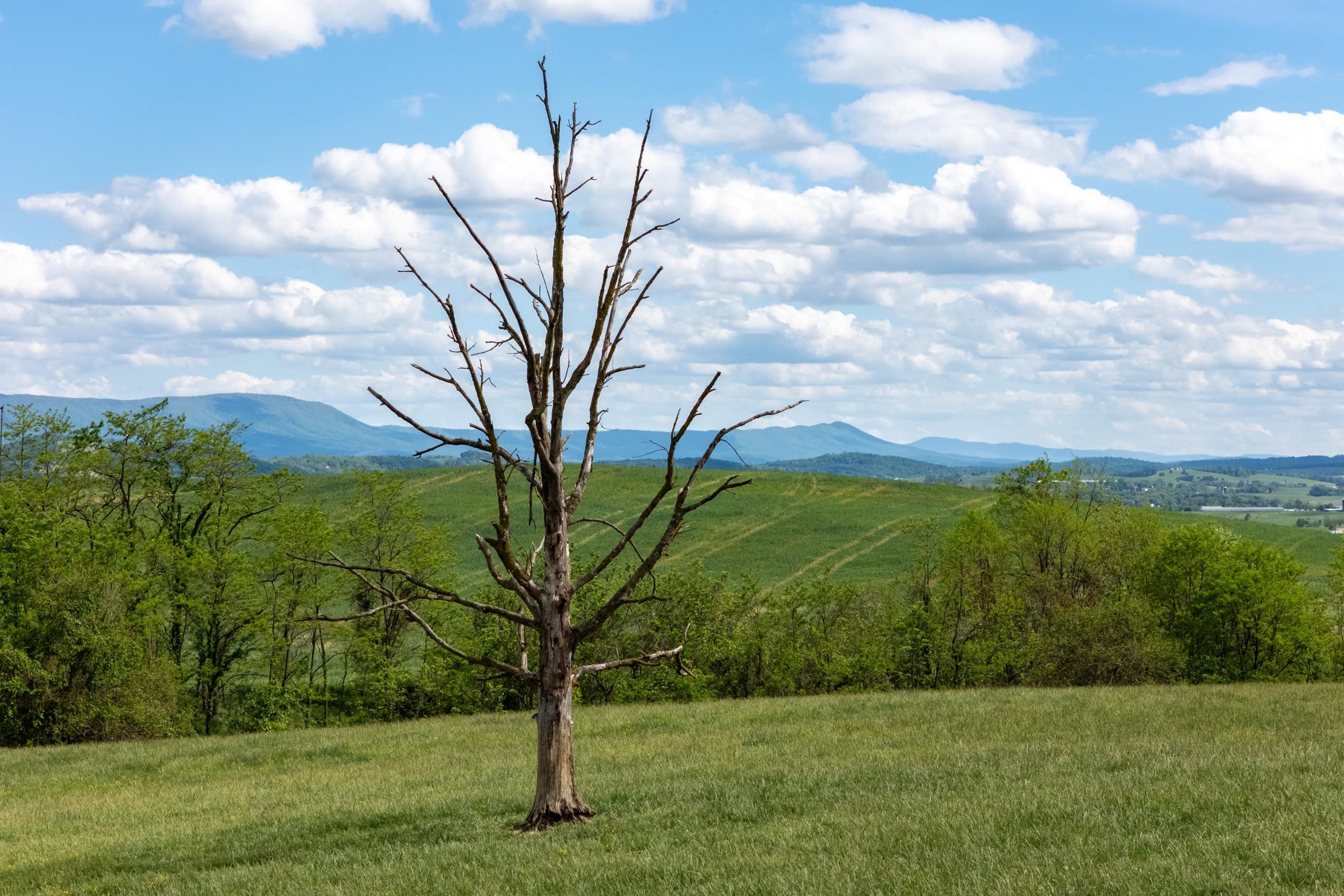 Tbd Vetters Road Timberville, VA 22853 - Photo 47 of 75