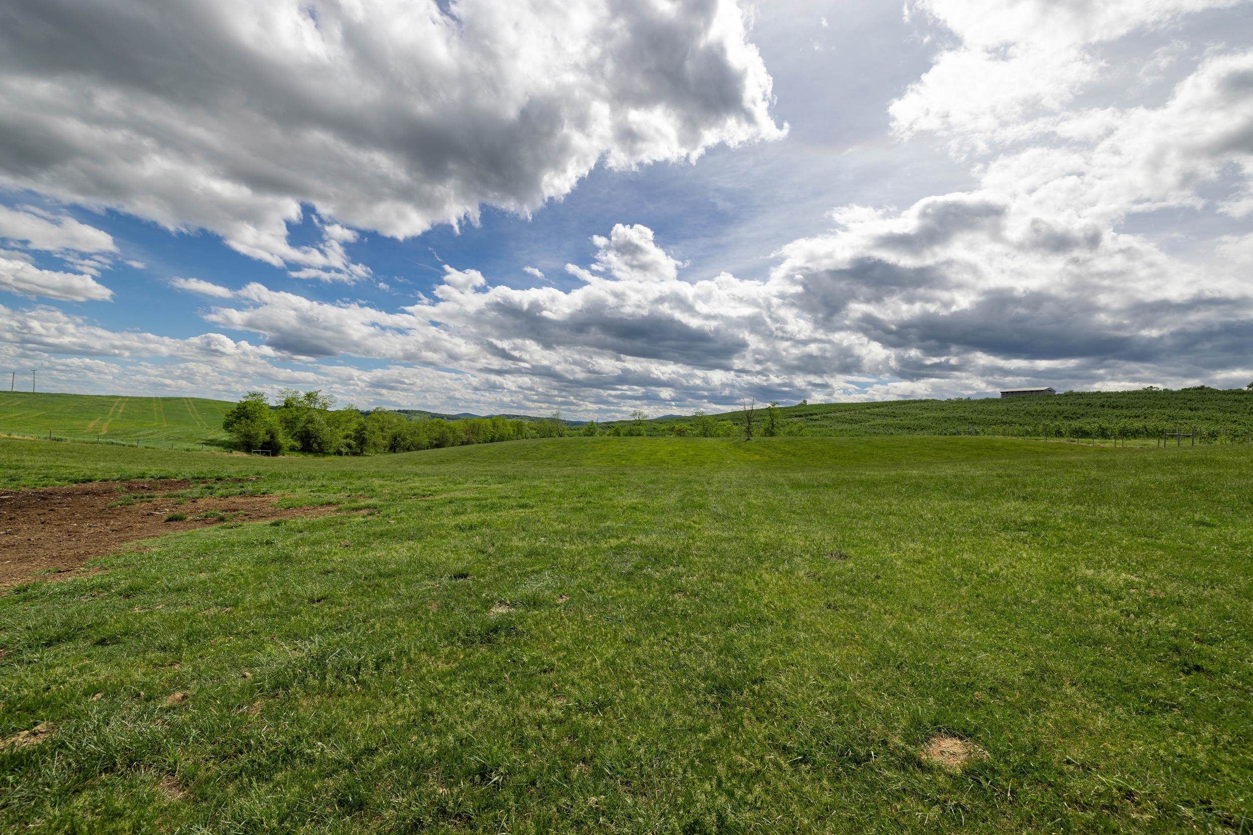 Tbd Vetters Road Timberville, VA 22853 - Photo 48 of 75 a view of a big yard with lots of green space