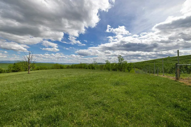 a view of an outdoor space