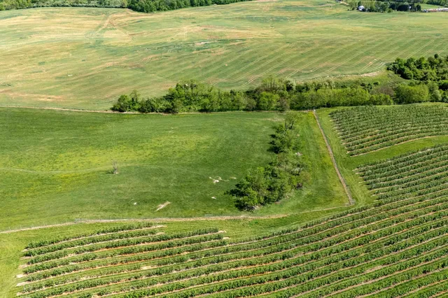 a view of a tennis court